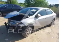2019 Toyota COROLLA photo