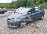 2019 Toyota COROLLA фото