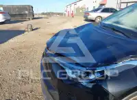 2019 Toyota C-HR фото