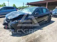 2019 Toyota CAMRY фото
