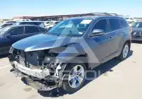 2019 Toyota Highlander фото