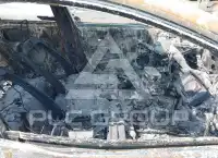 2019 Toyota PRIUS фото