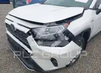 2019 Toyota RAV4 photo