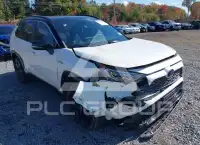2019 Toyota RAV4 фото