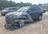2019 Toyota RAV4 фото