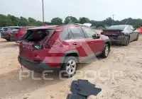 2019 Toyota RAV4 фото