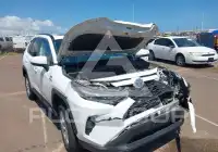 2019 Toyota RAV4 фото