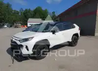 2019 Toyota RAV4 фото