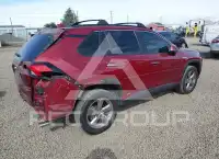 2019 Toyota RAV4 photo