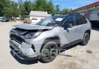 2019 Toyota RAV4 фото