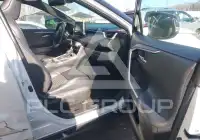 2019 Toyota RAV4 photo