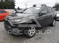 2019 Toyota RAV4 photo