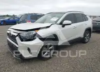 2019 Toyota RAV4 photo