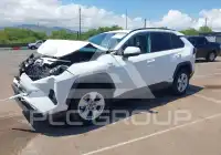 2019 Toyota RAV4 фото