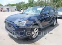 2019 Toyota RAV4 фото