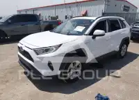 2019 Toyota RAV4 фото