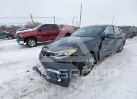 2019 KIA Optima фото