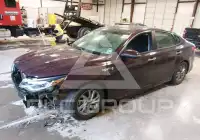 2019 KIA Optima фото