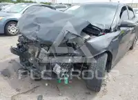 2019 KIA Optima фото