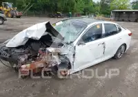 2019 KIA Optima фото