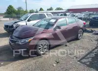 2019 KIA Optima photo