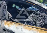 2019 KIA Sorento photo