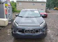 2019 KIA Sportage фото