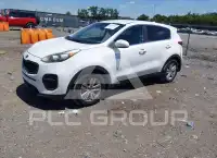 2019 KIA Sportage photo