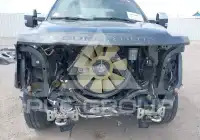 2019 Ford F-250 фото