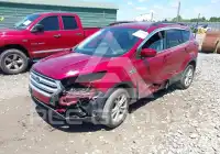 2019 Ford ESCAPE фото