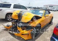 2019 Ford MUSTANG фото
