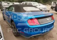 2019 Ford MUSTANG фото