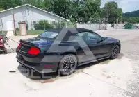 2019 Ford MUSTANG photo