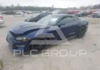 2019 Ford MUSTANG фото