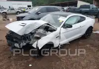 2019 Ford MUSTANG фото