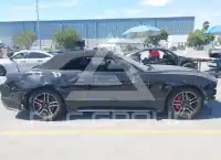 2019 Ford MUSTANG photo