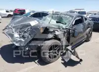 2019 Ford MUSTANG photo
