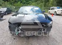 2019 Ford MUSTANG photo
