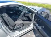 2019 Ford MUSTANG photo