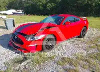 2019 Ford MUSTANG photo