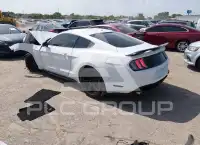 2019 Ford MUSTANG фото