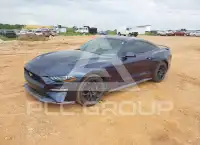 2019 Ford MUSTANG photo