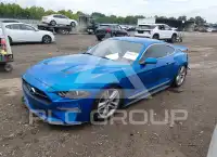 2019 Ford MUSTANG photo