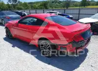 2019 Ford MUSTANG фото