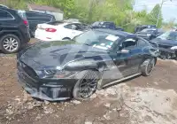 2019 Ford MUSTANG фото