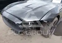 2019 Ford MUSTANG фото
