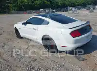 2019 Ford MUSTANG фото