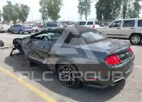 2019 Ford MUSTANG фото