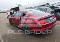 2019 Ford MUSTANG photo