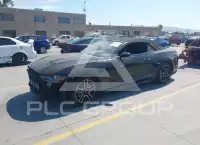 2019 Ford MUSTANG photo